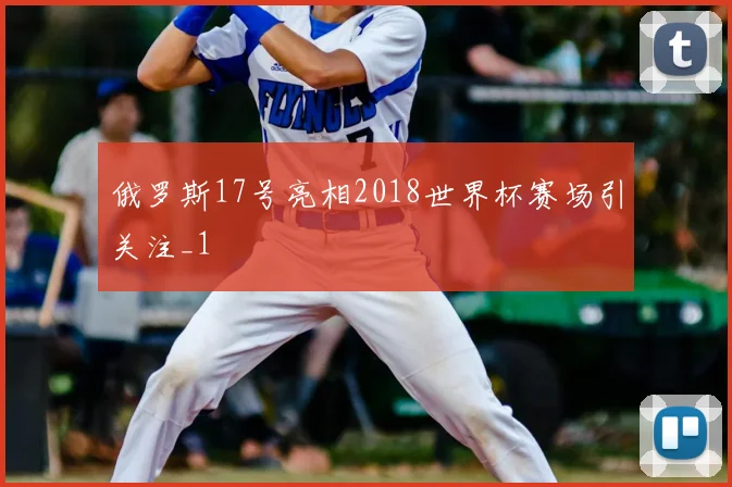 俄罗斯17号亮相2018世界杯赛场引关注_1